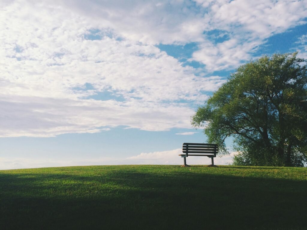 What Happens to Your Business If You Die Tomorrow? noah silliman ebb45rcsjru unsplash